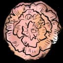 Carnation