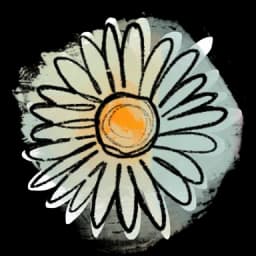 Daisy